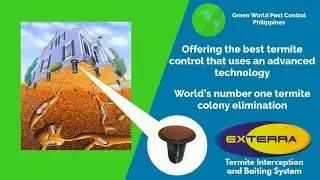 Green World Pest Control Philippines - Explainer Video
