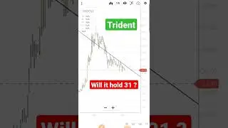 Trident share latest news today | Trident share price target | Trident share analysis