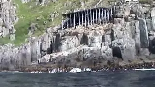 Sea Cave Coast