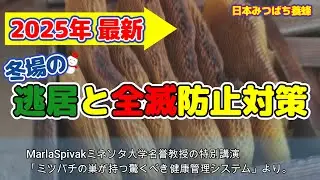 ニホンミツバチの本格的な越冬前に、逃居と全滅防止のために、2025年最新の対策を知っておきましょう。実は、逃居や全滅してしまう大きな原因は、これですっ！