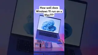 Насколько хорошо Windows 11 работает на Mac???