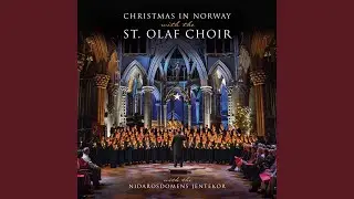 Night of Silence (After F. Gruber) (Arr. J. Ferguson for Mixed Choir, Piano & Organ) (Live)