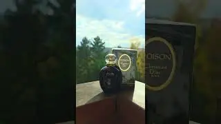 Poison Dior  #parfum #perfume #fragrance #dior #80smusic #music #rock #song #nature