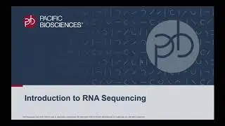 Application Tutorial: Introduction to Full-Length RNA Sequencing with HiFi Reads