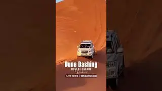 Thrilling Dune Bashing Adventure | DesertSafari.co