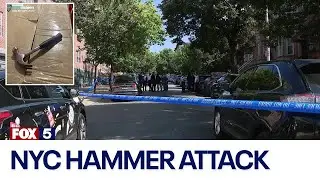 NYC hammer attack: Mother killed, 2 kids critically injured