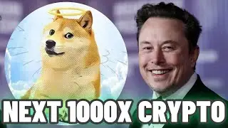 CAN DOGE INU 1000X?! Elon Musk Just Followed this Meme Coin! $DOG Best Crypto Meme Coin?!