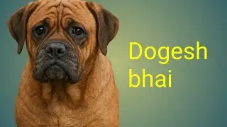Hariyana  Dog bahat pyara |Raj odisha |#vlogs #new #food #love #shorts #video 