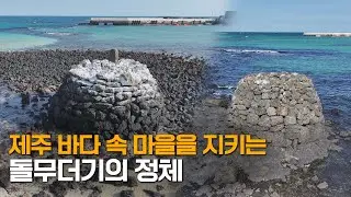 제주 바다 속 마을을 지키는 돌무더기의 정체