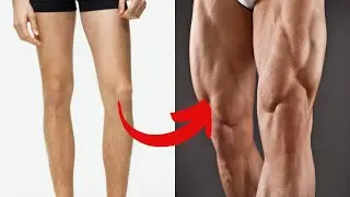 Home Leg Workout for Men No Equipment&nbsp;Needed