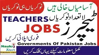 Elementary and Secondary Education Department Latest Jobs 2019 | NTS Educators Jobs By Naukri alert