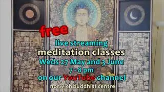 Free online meditation classes 27 May, 3 June (2020)