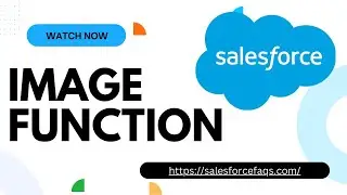 IMAGE Function in Salesforce | Insert an Image with Alternate Text in Salesforce