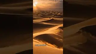 The Sahara Desert Was Once Green! 🌍🌿 #didyouknow #facts #mindblown