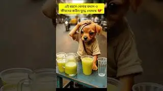 A small animal's big fight in the fire of hunger!_🐾🥤_#rana_#Shorts(720p)#ai #ranarana #ai #newdrama