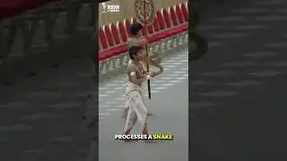 Папа Лев XIV проводит шествие со змеями в Ватикане?