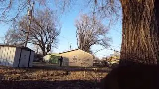 Slow-mo cedar arrows