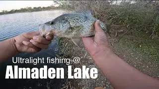 Ultralight fishing at Almaden lake!