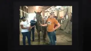 Sunset Trails Stables