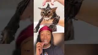 The most Cursed Christmas story you&rsquo;ll ever hear