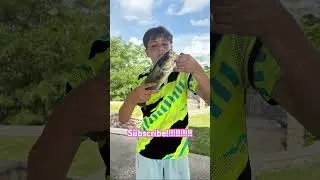 Subscribe to catch a 5 pounder #bassfishing #fishing #bass #fishinglife
