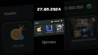 НОВОЕ КОМБО КАРТОЧЕК В HAMSTER KOMBAT #hamsterkombat #notcoin #хамстеркомбат