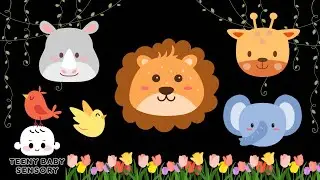 Peekaboo Animal Friends! Bright Colors & Fun Movements | Baby Sensory Video for Toddlers