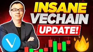 VeChain VET News VeChain Is A Sleeping Giant! Another Crypto Exchange In DANGER!