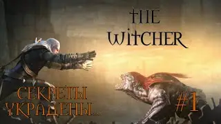 The Witcher #1 Секреты украдены...