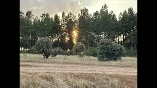 De camino