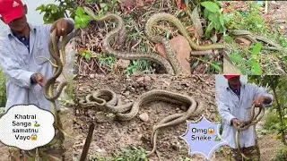 Omg😱 [घर अगाड़ीनै सर्प dekhiyeko] #snakevideo #snakevlog #fypシ #scaredreaction