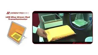 Maestrogen LED Transluminator SLB 03W1 | MAESTROGEN | Sciencewerke Indonesia