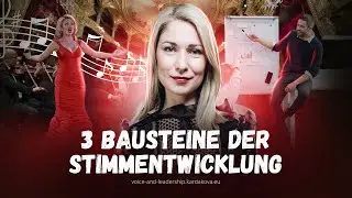 3 BAUSTEINE DER STIMMENTWICKLUNG