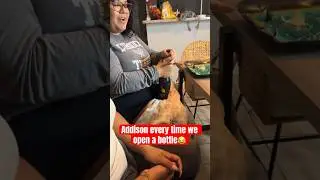 Mama mango makes us loose 💀 #viral #funny #comedy #ghosthunting #houston #texas #houstontx #fy #fyp