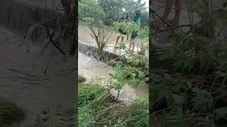 The Flood 🇵🇭 #floodcontrol #flooding #shortsviral