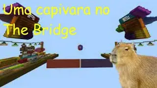 Uma Capivara No The Bridge