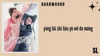 Jane Zhang ft. Jason Zhang - Agarwoord (Immortal Samsara Chinese Drama OST) Pin Lyrics