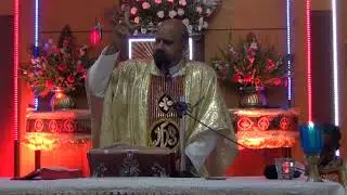 புனித அந்தோனியார் திருவிழா  St. Anthony of Padova : Homily by Bishop Roy