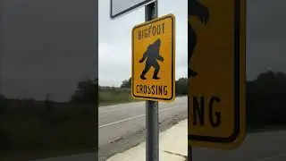 2024 South Carolina Bigfoot Festival | Westminster, SC
