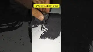 Magnet vs Iron Dust | #like #shortvideo #shorts #science #magnet #short #share #shortsfeed