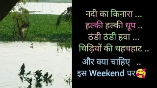 Okhla Bird Sanctuary | Best Places To Visit In Delhi | bird sanctuary | Simuu Passion