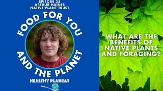 What are the benefits of native plants and foraging?