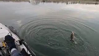 Backyard Fishing Fun