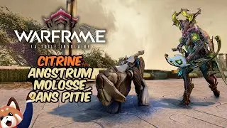 Ce trio Citrine, Angstrum et Molosse est sans piti&eacute;