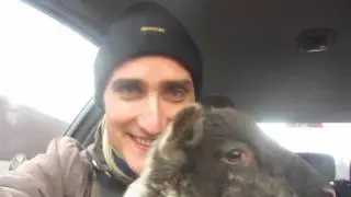 Vidl&aacute;ci jed&oacute;!