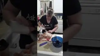 Tupperware Stack Cooker revolution pt 1