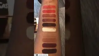 Dose of Colors Sassy Siennas and Baked Browns Swatches