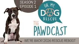 We're Back! 2026 Rescue Reboot - S2 E1
