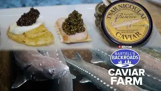 Caviar was once considered a bar snack, but it's gone just a little more upscale over the years.