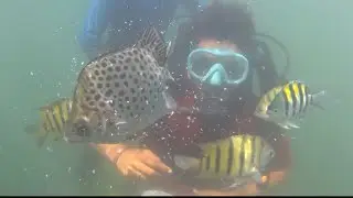 Scuba diving in goa(water activities)@karankvlogss #goa #youtube